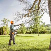 American Tree Cutters, Tree Removal Service Palm  image 7